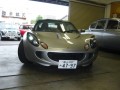 ＬＯＴＵＳ　ＥＬＩＳＥ