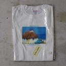 訳アリTシャツセール品